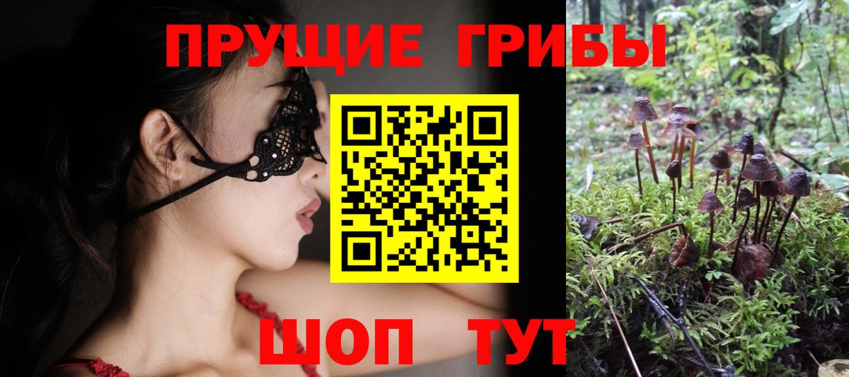 Галлюциногенные грибы Cubensis Дивногорск