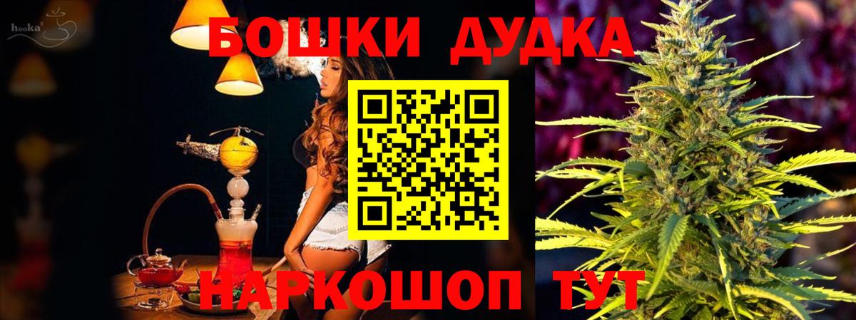 Бошки Шишки конопля Дивногорск